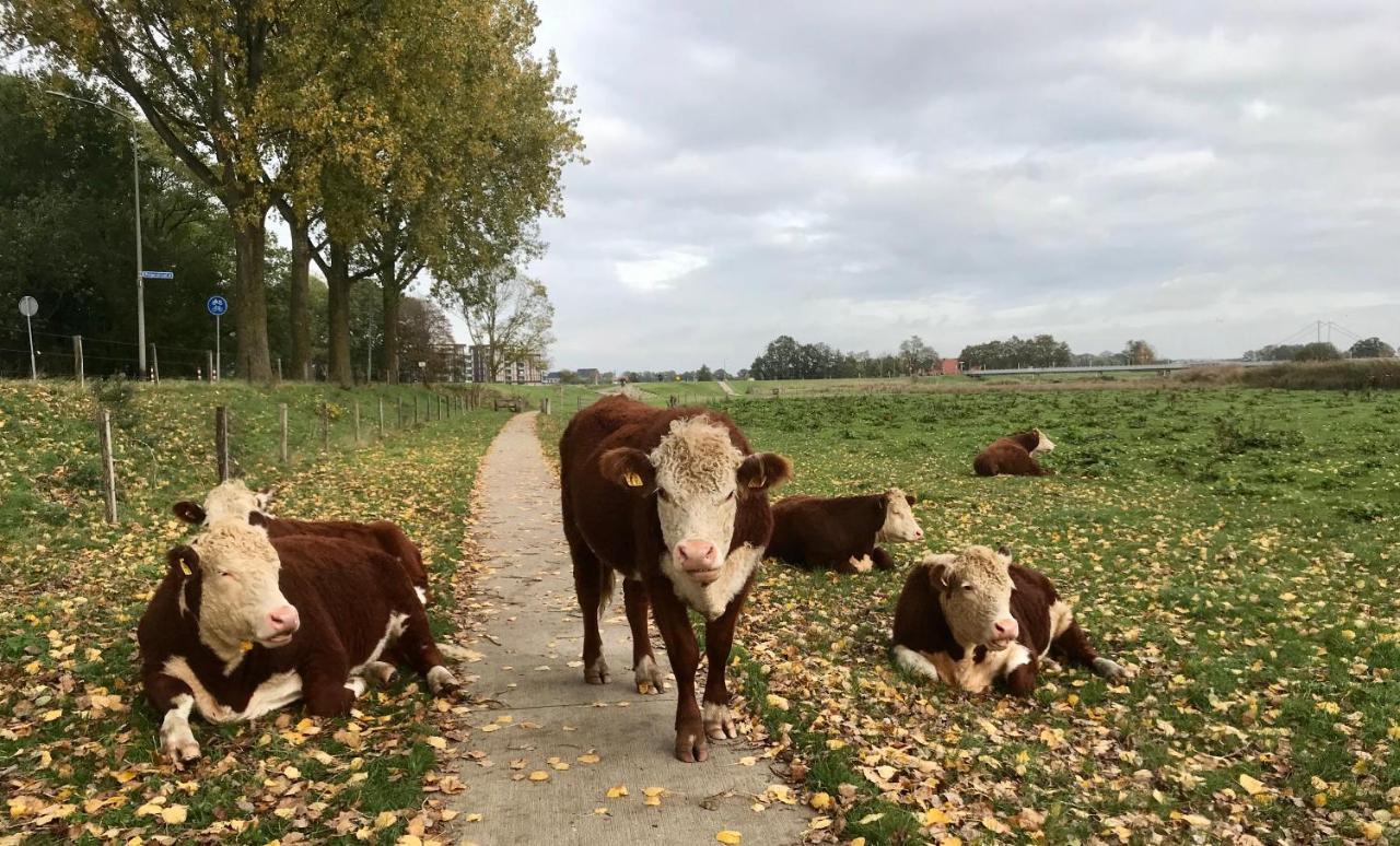 Tussen Vecht En Veer Hardenberg